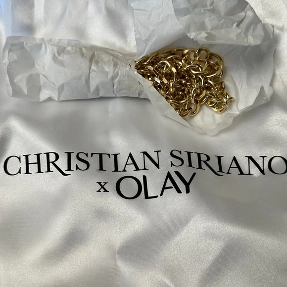 Christian Siriano x Olay bag - Picture 3 of 11